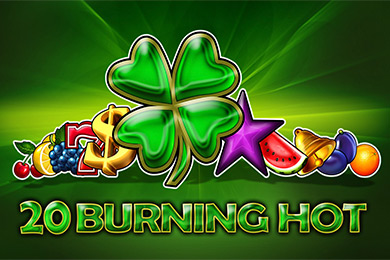 Egt Provide 20 Bh играть в Флип